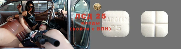 дмт Лабытнанги