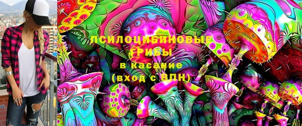 бутират Лагань