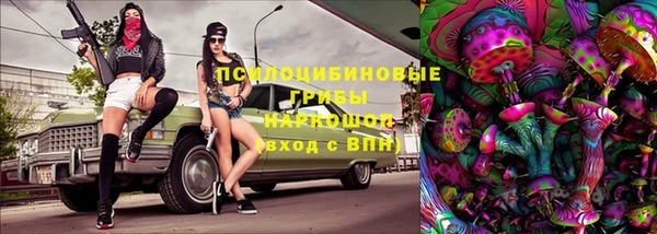 дмт Лабытнанги