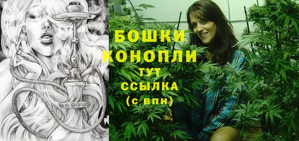 дмт Лабытнанги